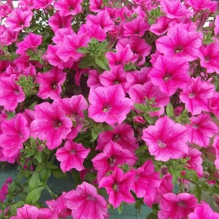 Banita Privatunterkunft *