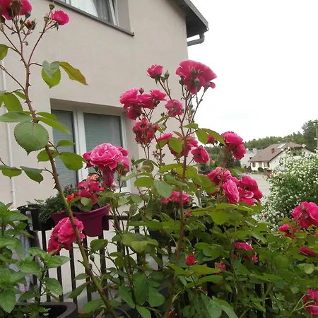 Privatunterkunft Banita