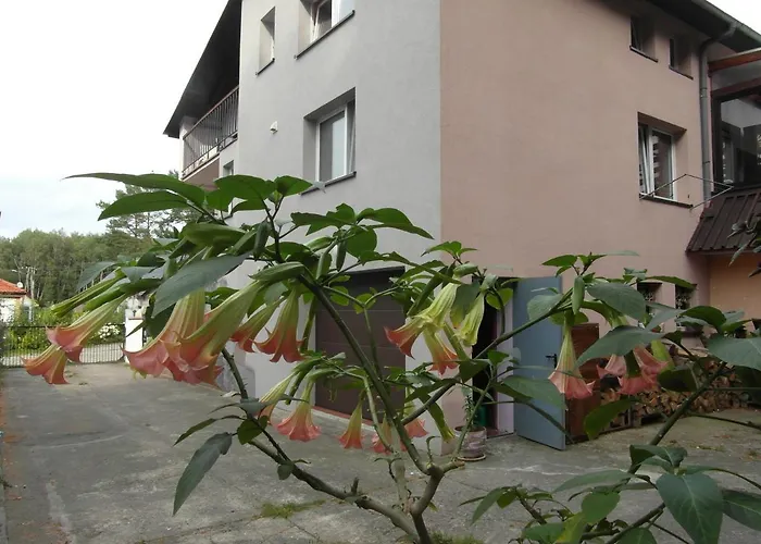Accommodatie bij particulieren Banita Ustka
