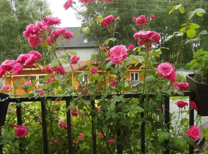 巴尼塔别墅酒店 民宿 乌斯特卡