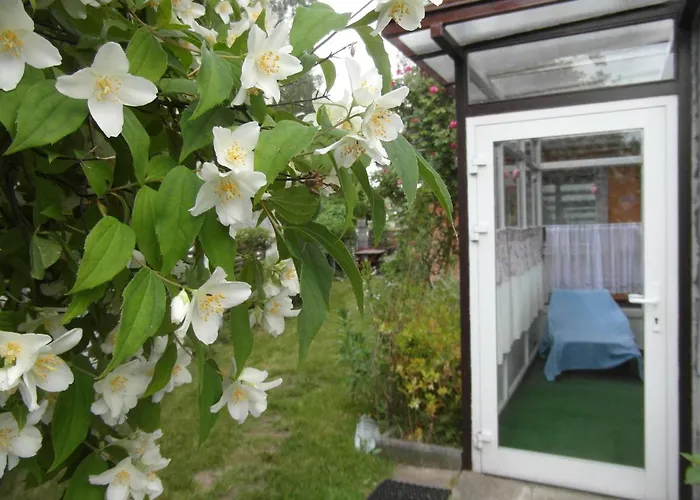 巴尼塔别墅酒店 民宿