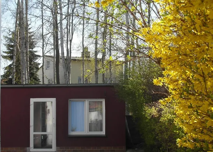 巴尼塔别墅酒店 民宿 *