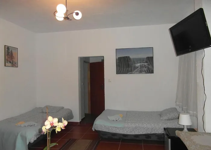 巴尼塔别墅酒店 民宿 *